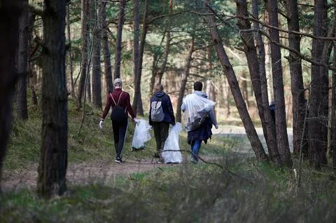 Three volunteers walking through a pine forest trail carrying large plastic b 스톡 사진