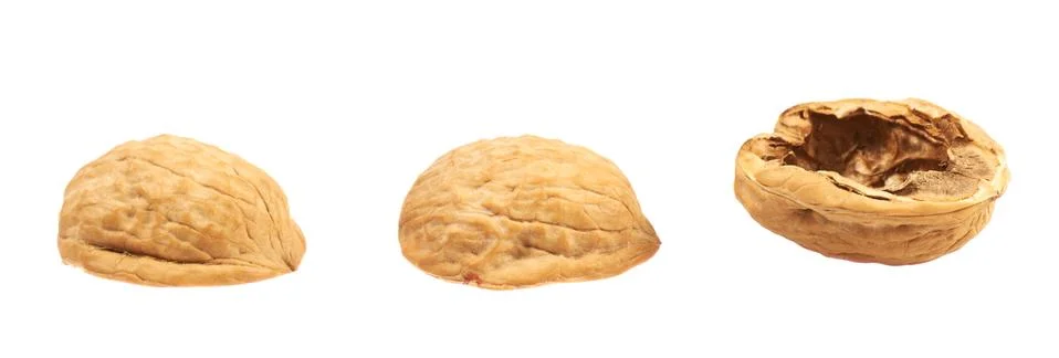 Three walnut shells isolated Stock Photos