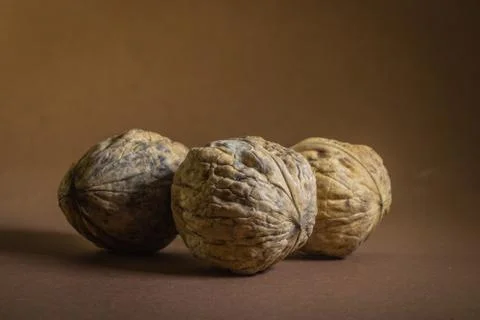 Three Walnut walnuts on a dark brown background Stock Photos