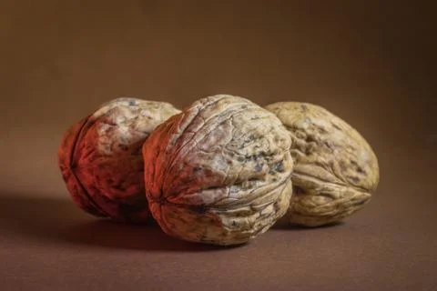 Three Walnut walnuts on a dark brown background Stock Photos
