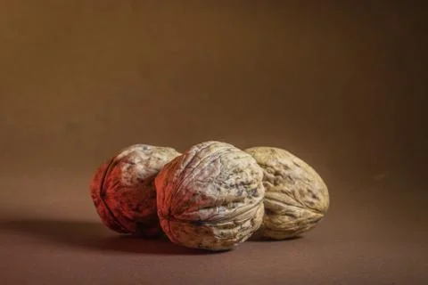 Three Walnut walnuts on a dark brown background Stock Photos