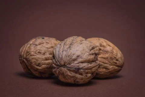 Three Walnut walnuts on a dark brown background Stock Photos