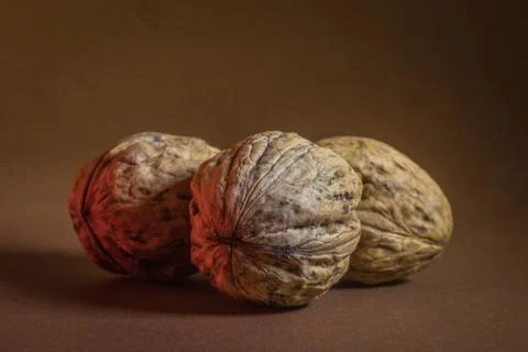 Three Walnut walnuts on a dark brown background Stock Photos