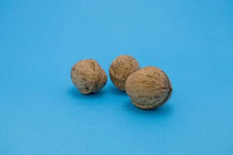 Three walnuts are displayed on a blue surface, showcasing their texture and n Stock Photos