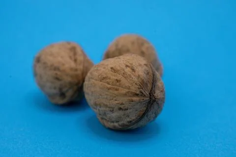 Three walnuts are displayed on a blue surface, showcasing their texture and n Stock Photos