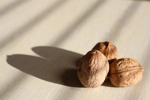Three walnuts stand on a light table near a window in the house Stock Photos