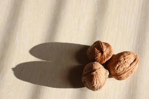 Three walnuts stand on a light table near a window in the house Foto stock