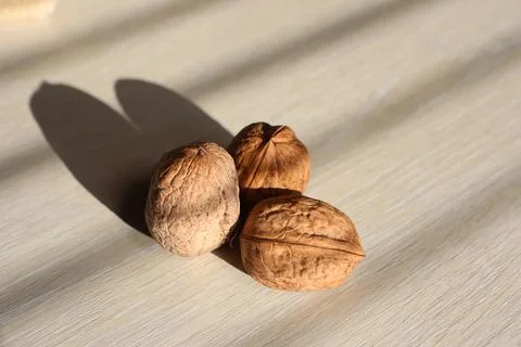 Three walnuts stand on a light table near a window in the house Stock Photos