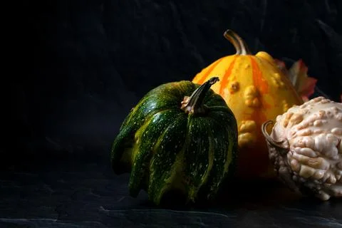 Three warty pumpkins on black background Stock Photos