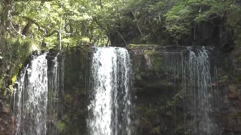 Three waterfalls spilling over mossy ledge in woodland Video stock 92576178
