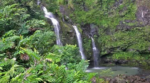 Three Waterfalls in a Tropical Forest Stock Footage 22105609