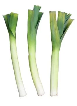 Three welsh green leeks, isolated on a white background. 库存照片