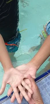 Three wet hands while swimming in the pool Stock Photos