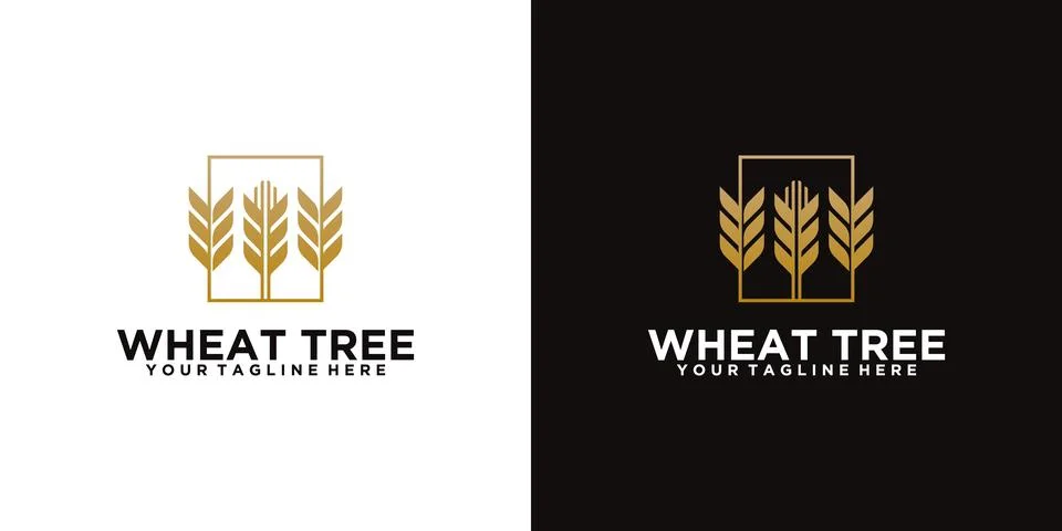 Three wheat trees with square frame and business card inspiration Illustrazione stock