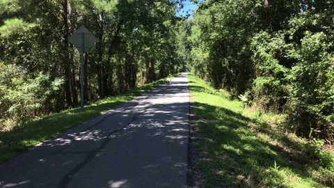 Three wheeled bike on path Stock Footage 79886046