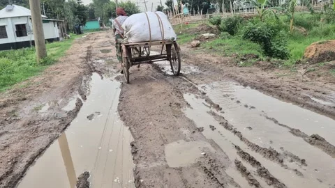 Three Wheeled Van Goods Transport Muddy Rural Road Village Life Video Stock Footage 343625904