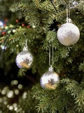 Three white balls on the Christmas tree Stock Photos