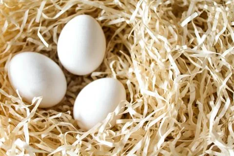 Three white chicken eggs lying in the straw nest Stock Photos