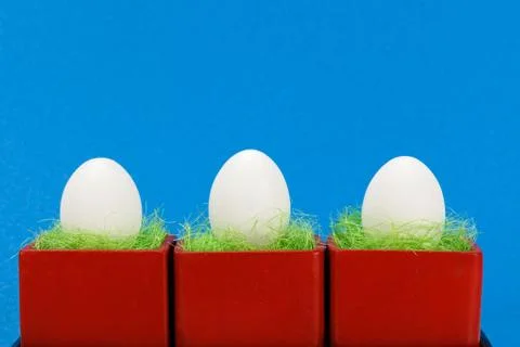 Three white chicken eggs in red pots Stock Photos