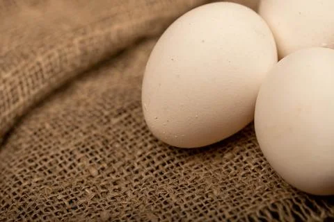 Three white chicken eggs on a rough-textured homespun cloth. Stock Photos