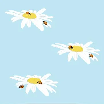 Three white daisies with orange ladybugs on a blue background. Ilustración de archivo