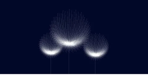 Three white dandelions on an isolated blue background. Vector graphics. Banner	 Stock Illustration