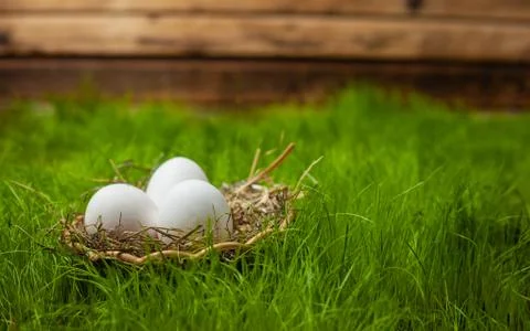 Three white Easter eggs in a basket with hay on green grass Stock Photos