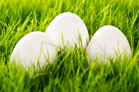 Three white easter eggs in grass Stock Photos