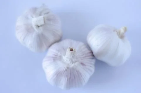 Three White Garlic Bulbs on a Light Blue Background Stock Photos