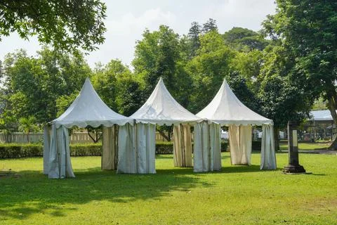 Three white pointed event marquee tents set up on a green grass lawn. Stock-Fotos