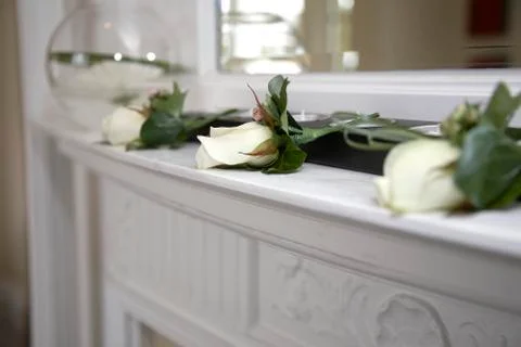 Three white roses Stock Photos