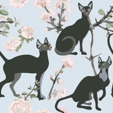 Three white siamese or sphinx cats in sakura flowers on a light background se Stock Illustration