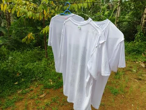 Three White T-shirts Drying on a Clothesline in a Tropical Garden Foto stock