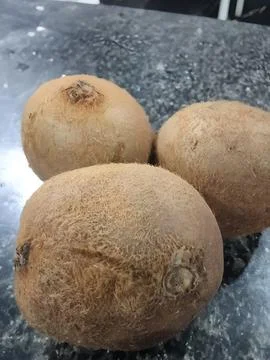 Three whole coconuts on a granite countertop Stock Photos