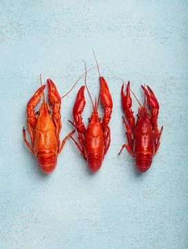 Three whole cooked crawfish lying on blue background top view Three bright... Stock Photos