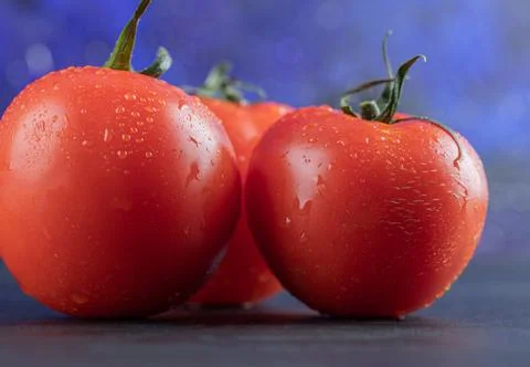 Three whole fresh tomatoes on a dark background Stock Photos