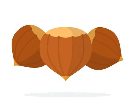 Three whole hazelnuts flat isolated Illustrazione stock