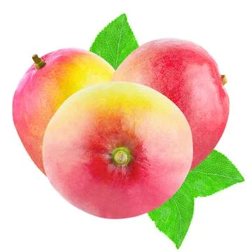 Three whole mango fruit isolated Stock Photos