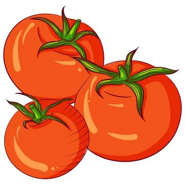 Three whole tomatoes Stock Illustration