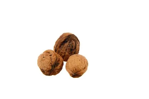 Three Whole Walnuts in Shell on White Background Close-Up Showing Natural T.. Foto stock