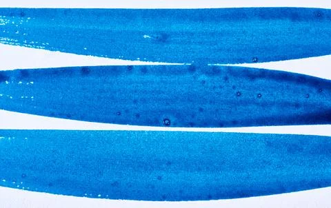 Three wide parallel blue watercolor paint brush strokes on white paper. Stock Photos