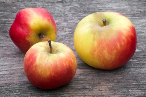 Three wild apples Stock Photos