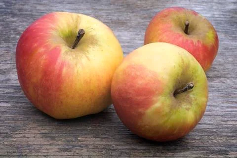 Three Wild apples Stock Photos