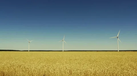 Three wind turbines in a wheat field Video stock 51992702