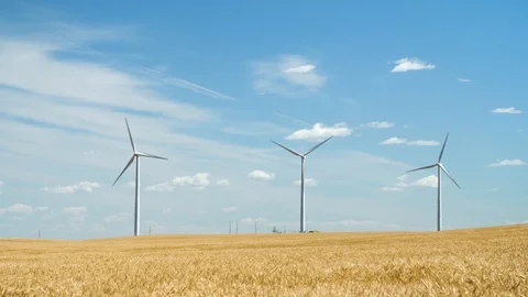 Three wind turbines in a wheat field Stock Footage 114897111