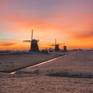 The three windmills at Stompwijk in The Netherlands. Stock Photos