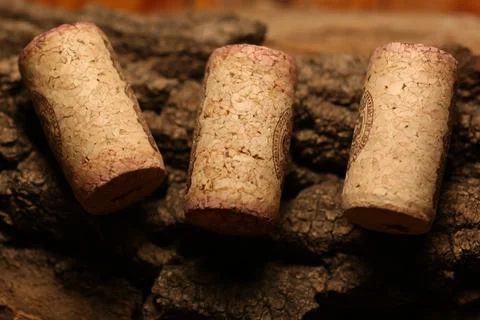 Three wine stoppers lying on tree bark Stock Photos