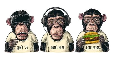 Three wise monkeys. Not see, not hear, not speak. Vintage engraving Illustration