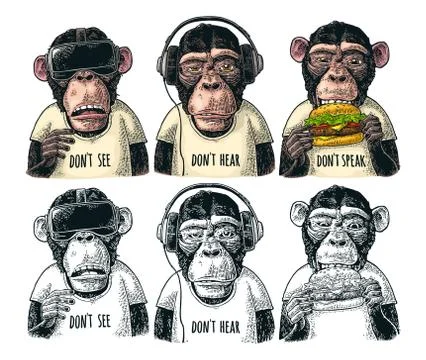 Three wise monkeys. Not see, not hear, not speak. Vintage engraving Illustration