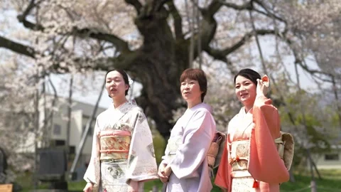 Three women in kimonos pose beneath a cherry tree Video stock 344794530